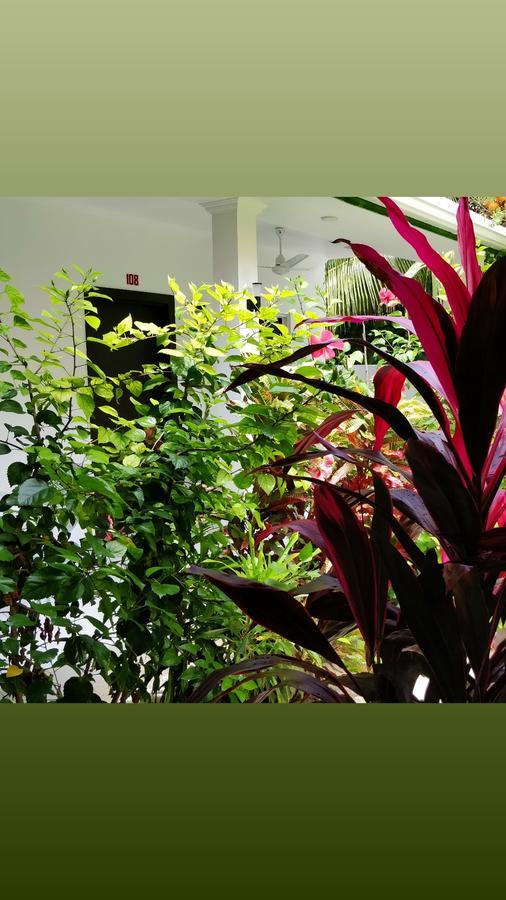 Hotel Athiriveli Thoddoo Zewnętrze zdjęcie