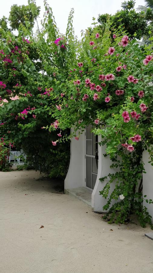 Hotel Athiriveli Thoddoo Zewnętrze zdjęcie